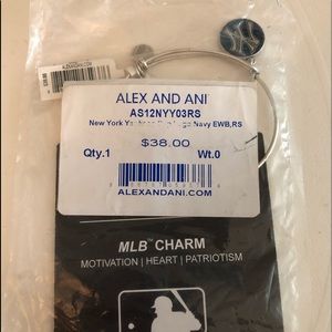 Alex and Ani Yankees bracelet